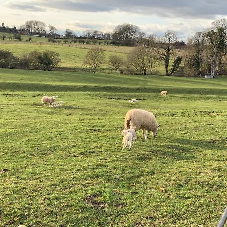 Weatherhead Farm Shepherds Hut Villa Buckingham Bagian luar foto