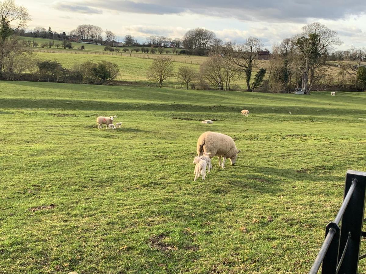 Weatherhead Farm Shepherds Hut Villa Buckingham Bagian luar foto