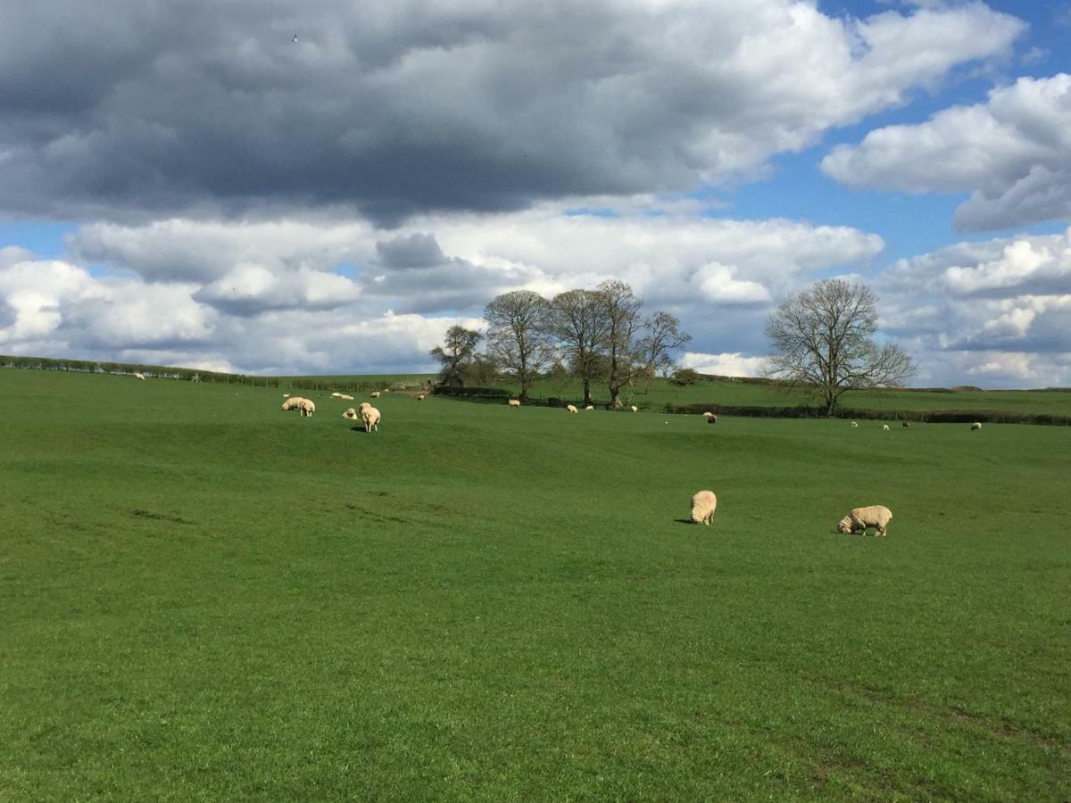 Weatherhead Farm Shepherds Hut Villa Buckingham Bagian luar foto